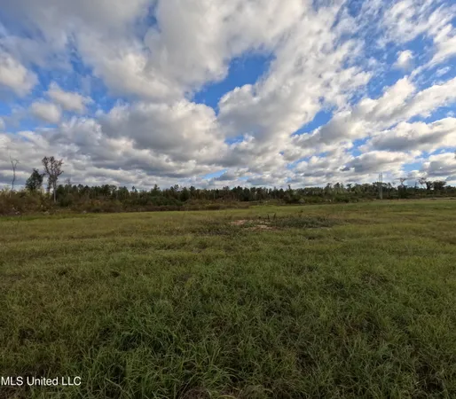 $215,000 | William Warren Road, Collins, MS 39428