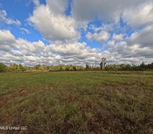 $215,000 | William Warren Road, Collins, MS 39428