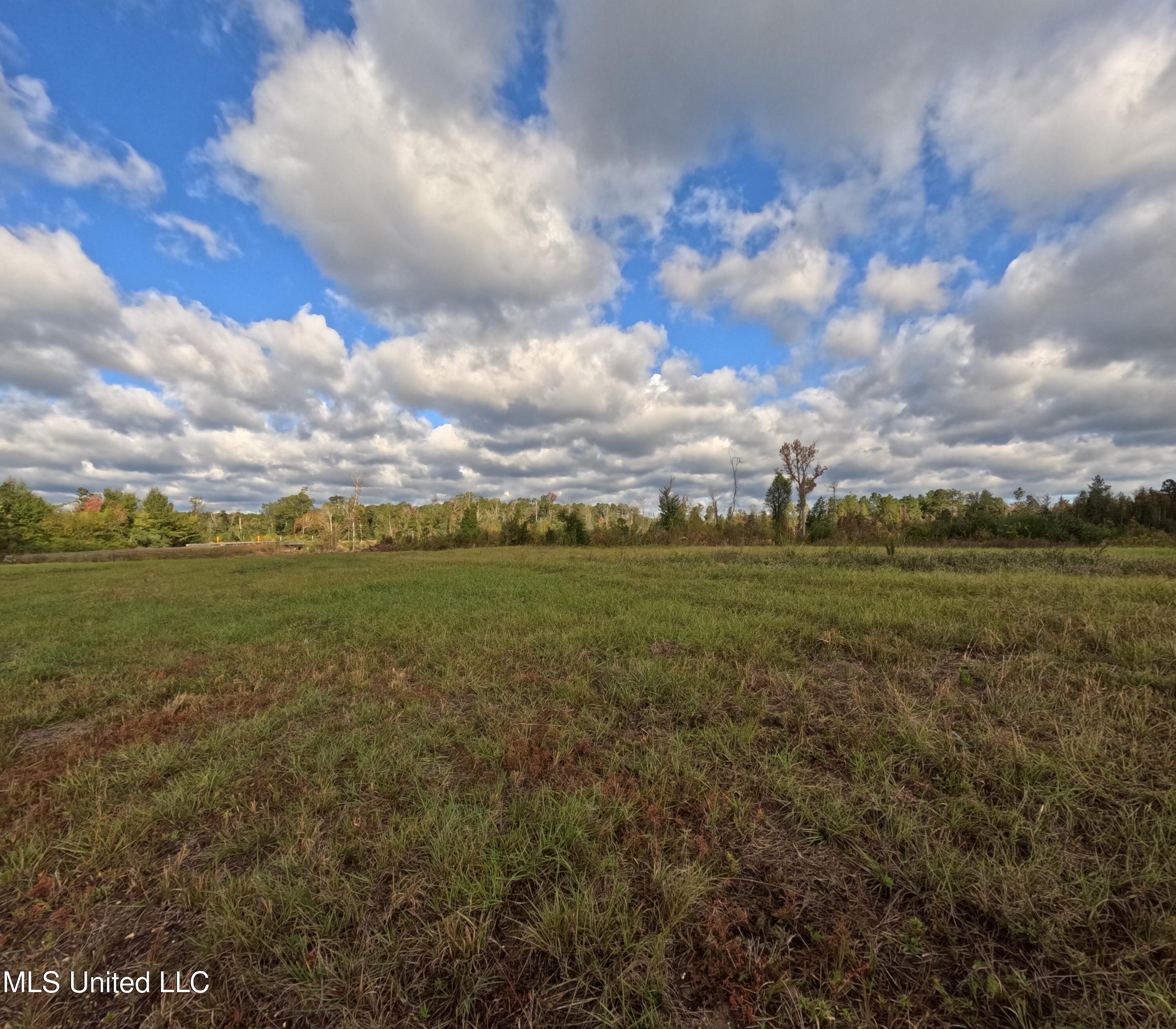 William Warren Road Collins, MS 39428 - Photo 82 of 115 GOPR0724