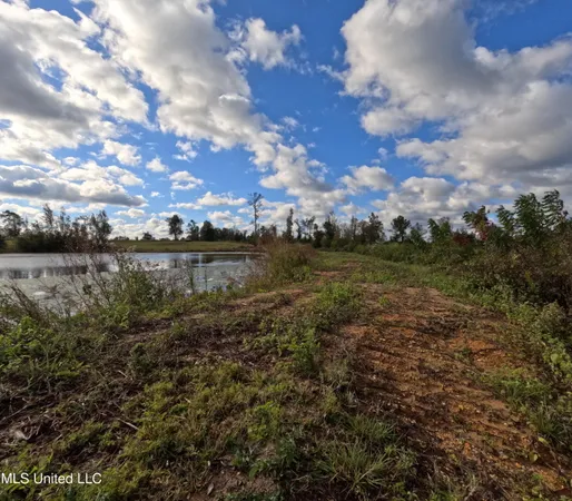 $215,000 | William Warren Road, Collins, MS 39428