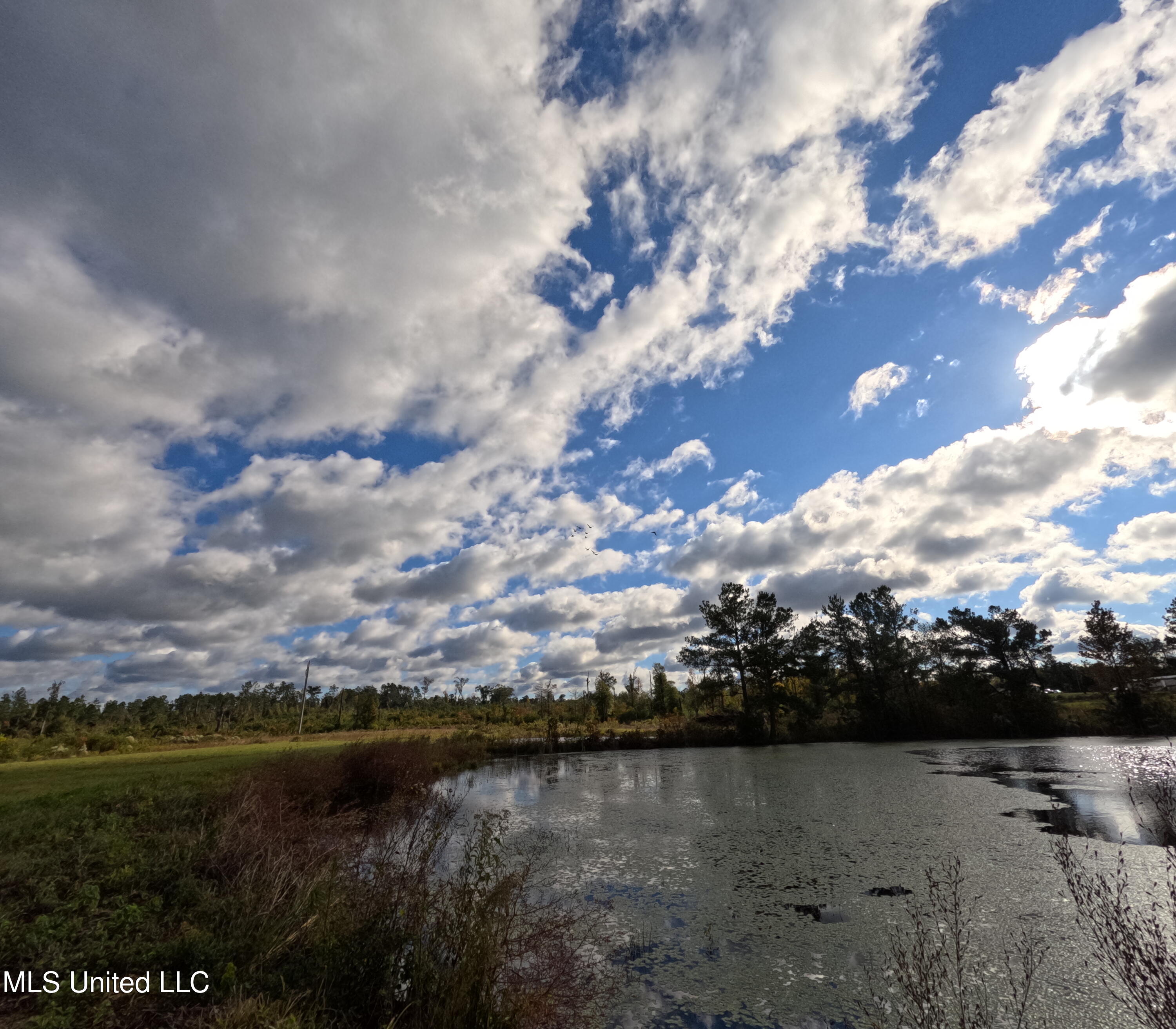William Warren Road Collins, MS 39428 - Photo 84 of 115 GOPR0727