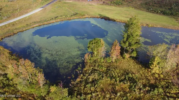 $215,000 | William Warren Road, Collins, MS 39428