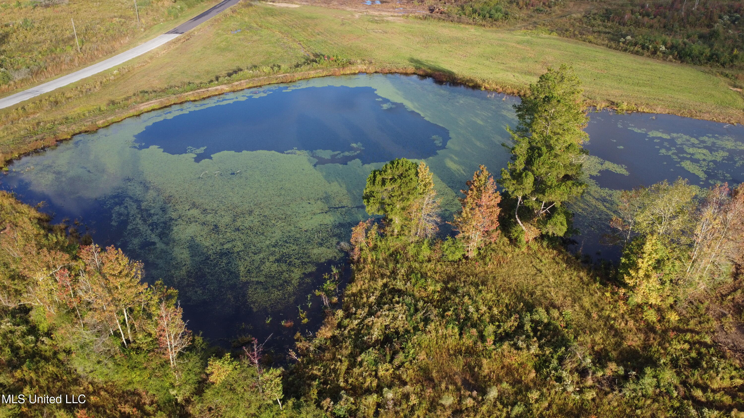 William Warren Road Collins, MS 39428 - Photo 86 of 115 DJI_0559