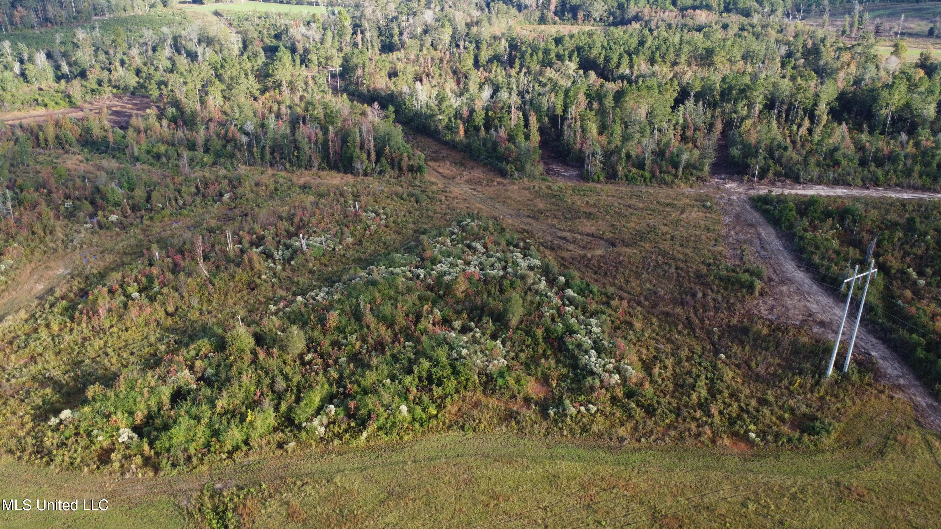William Warren Road Collins, MS 39428 - Photo 89 of 115 DJI_0563