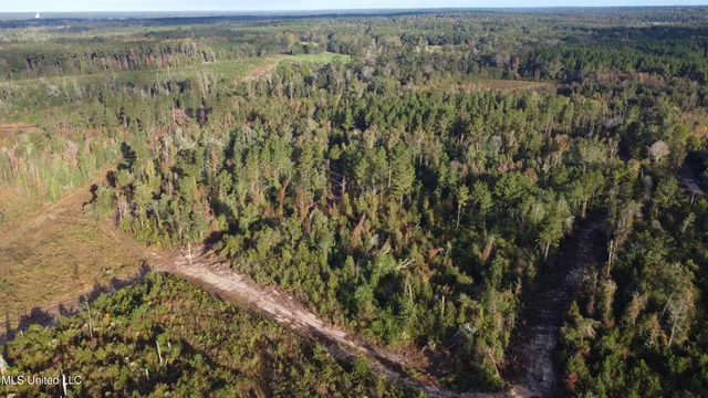 $240,000 | William Warren Road, Collins, MS 39428