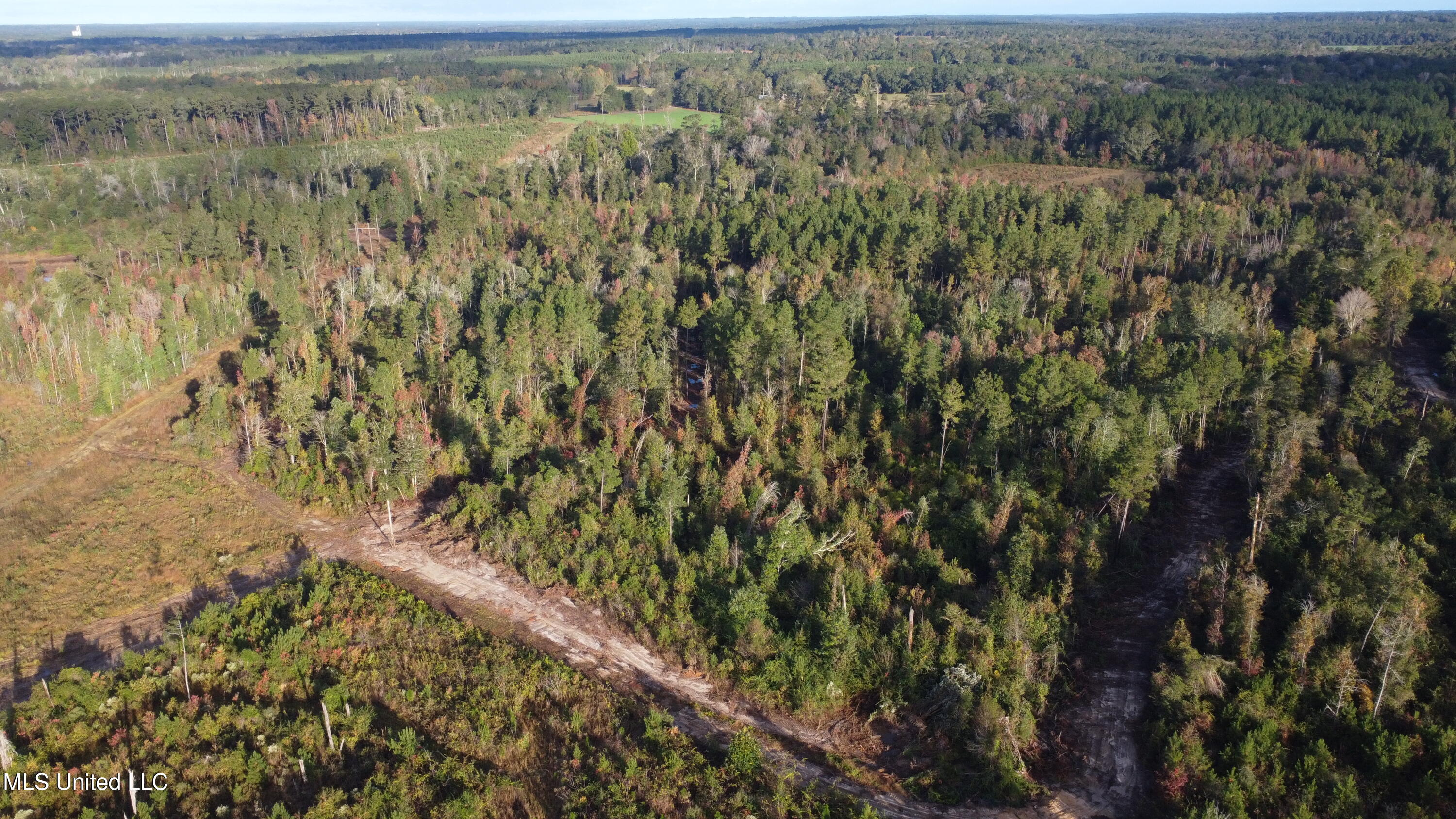 William Warren Road Collins, MS 39428 - Photo 90 of 115 DJI_0565