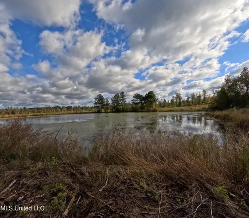 $215,000 | William Warren Road, Collins, MS 39428