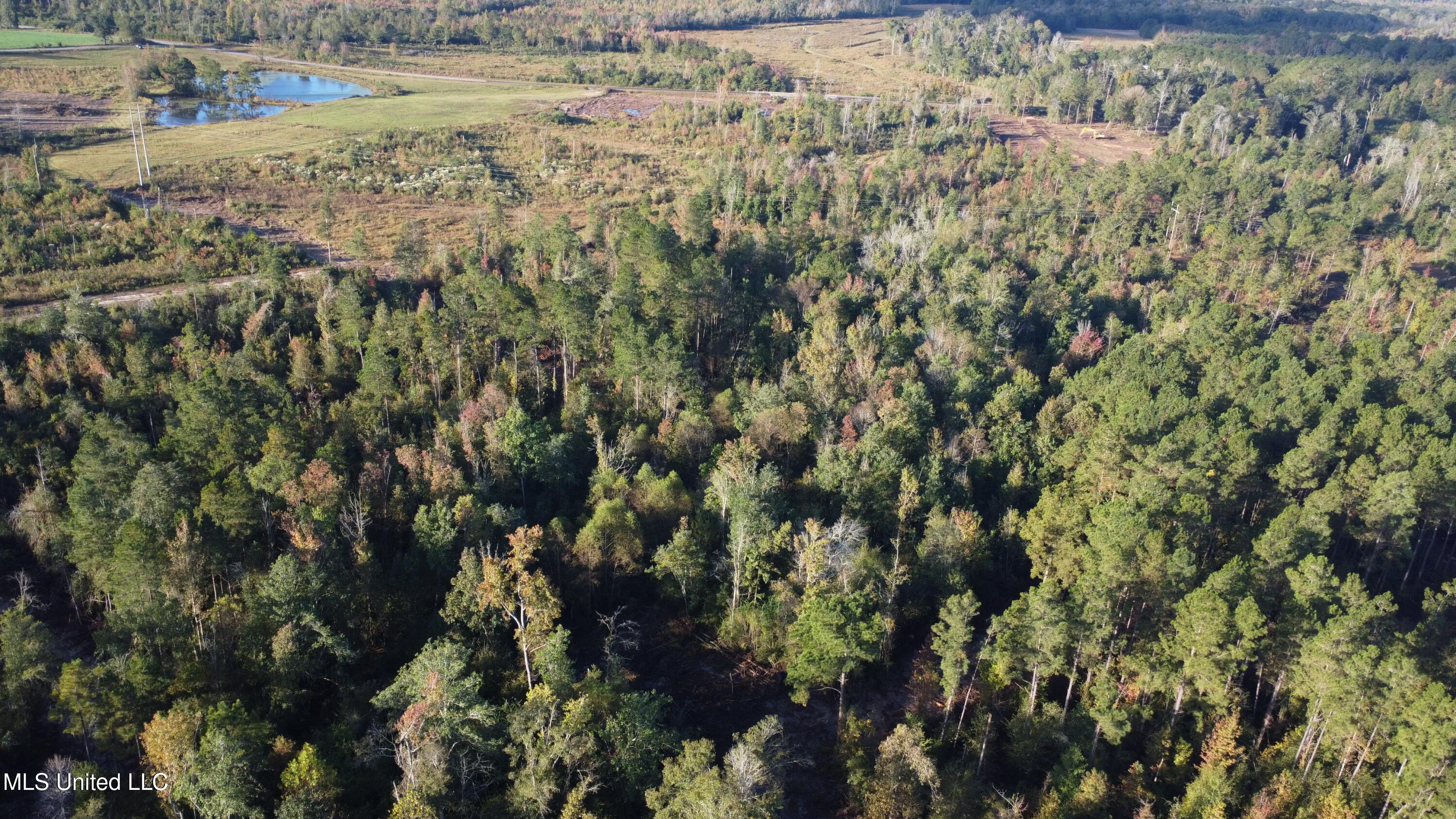 William Warren Road Collins, MS 39428 - Photo 91 of 115 DJI_0566