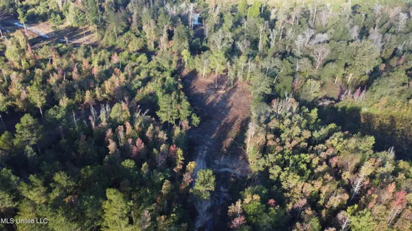 $215,000 | William Warren Road, Collins, MS 39428