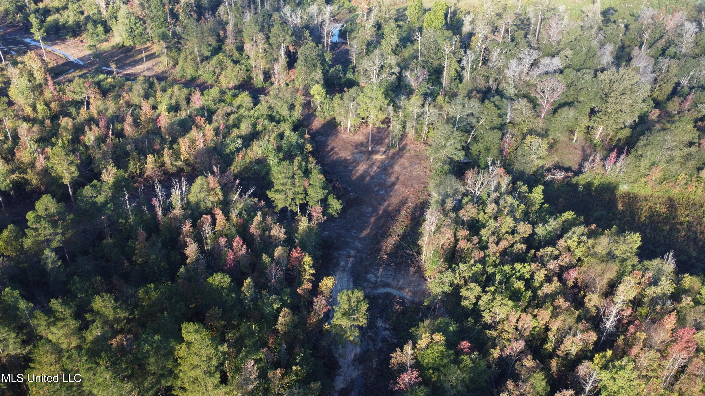 William Warren Road Collins, MS 39428 - Photo 92 of 115 DJI_0567