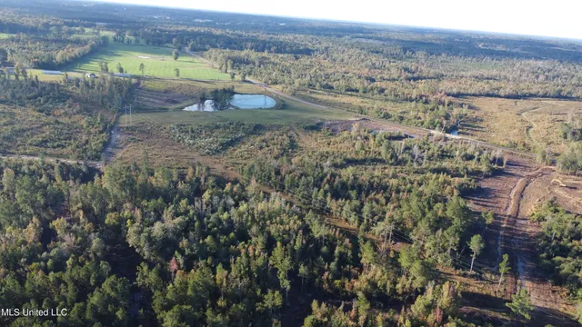 $240,000 | William Warren Road, Collins, MS 39428