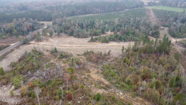 $240,000 | William Warren Road, Collins, MS 39428