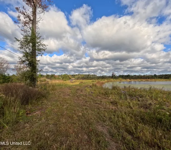 $240,000 | William Warren Road, Collins, MS 39428