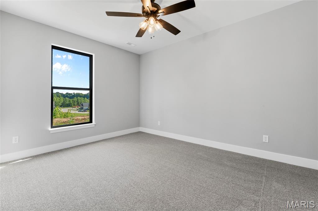 2950 Bluff Ridge Court Maryville, IL 62062 - Photo 49 of 58