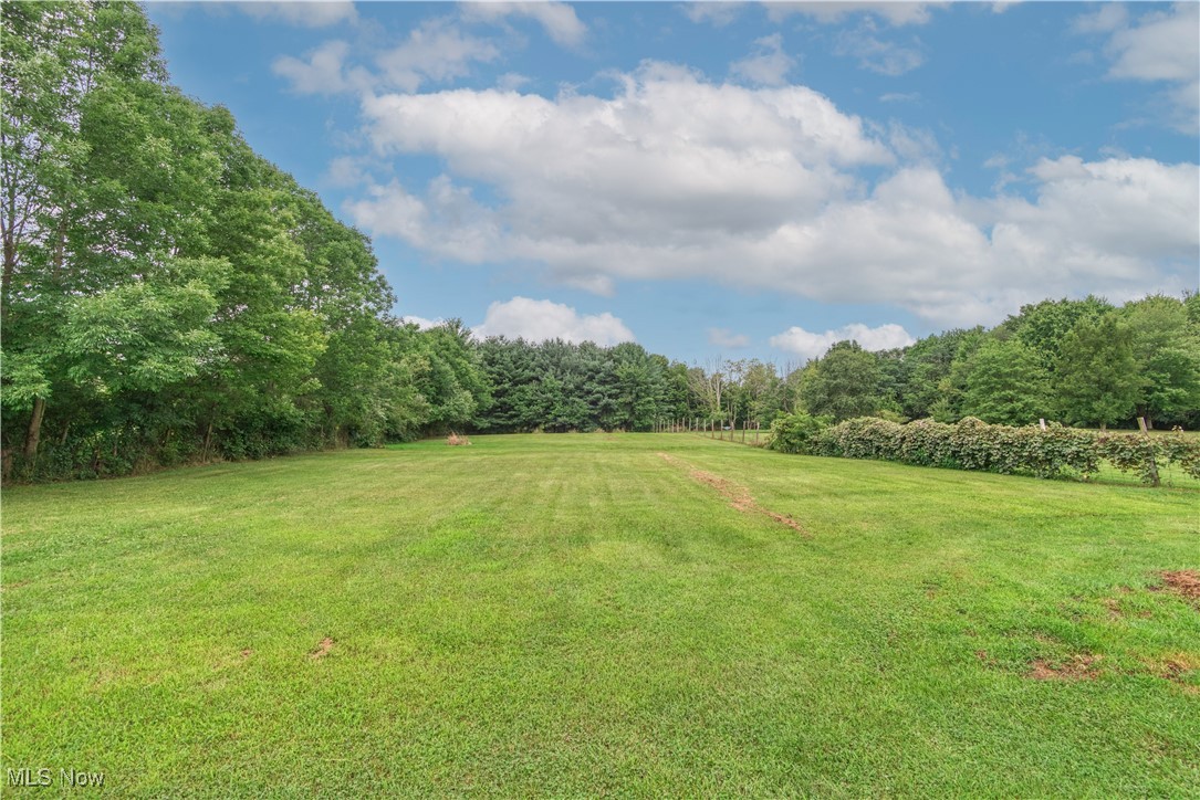 1435 Industry Road Atwater, OH 44201 - Photo 39 of 48 View of backyard