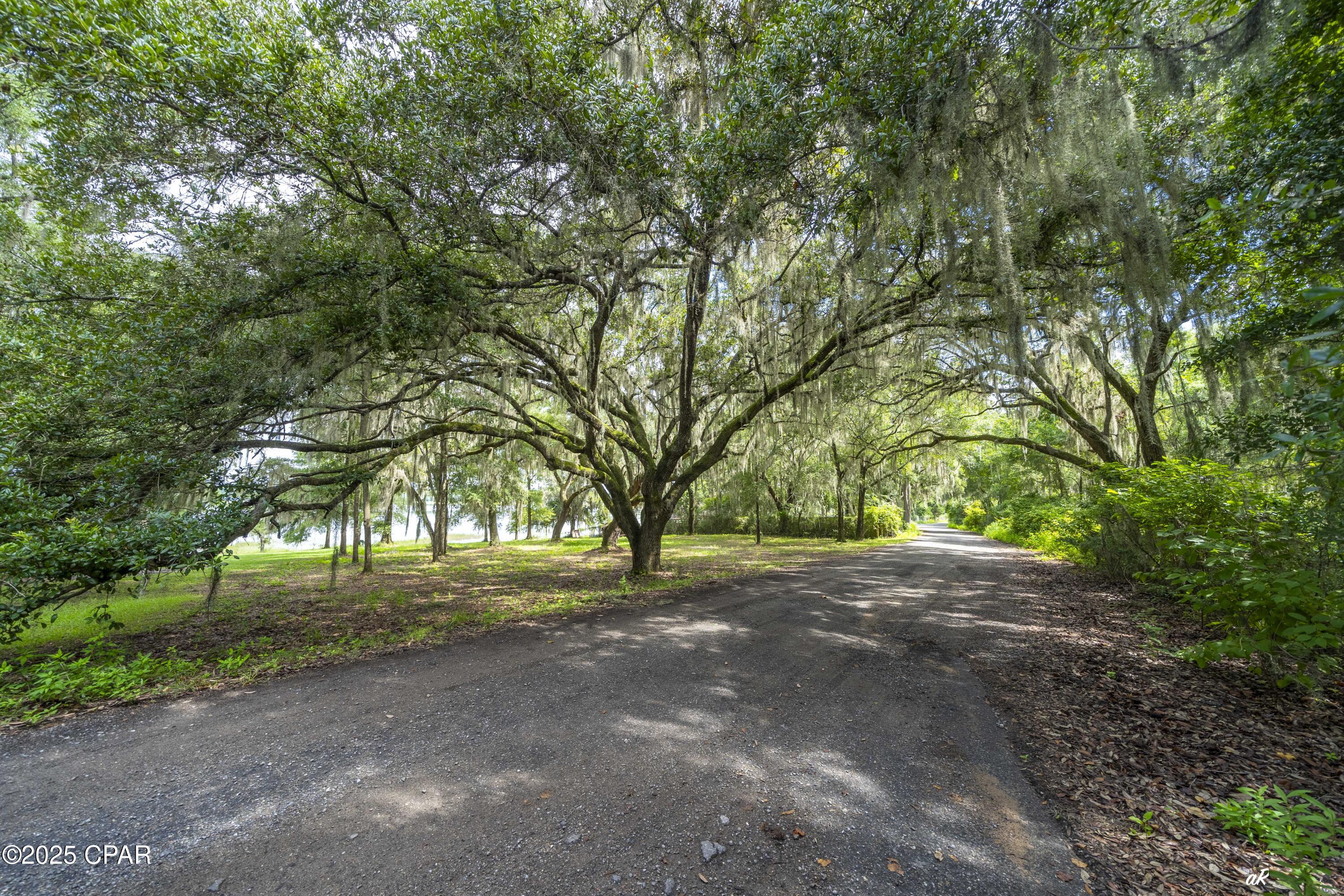 3449 Lucas Lake Road Chipley, FL 32428 - Photo 2 of 47
