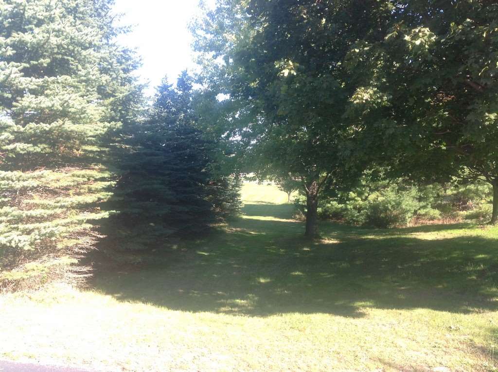 5350 Goodrick Road Traverse City, MI 49684 - Photo 29 of 33 1814594-28.JPG
