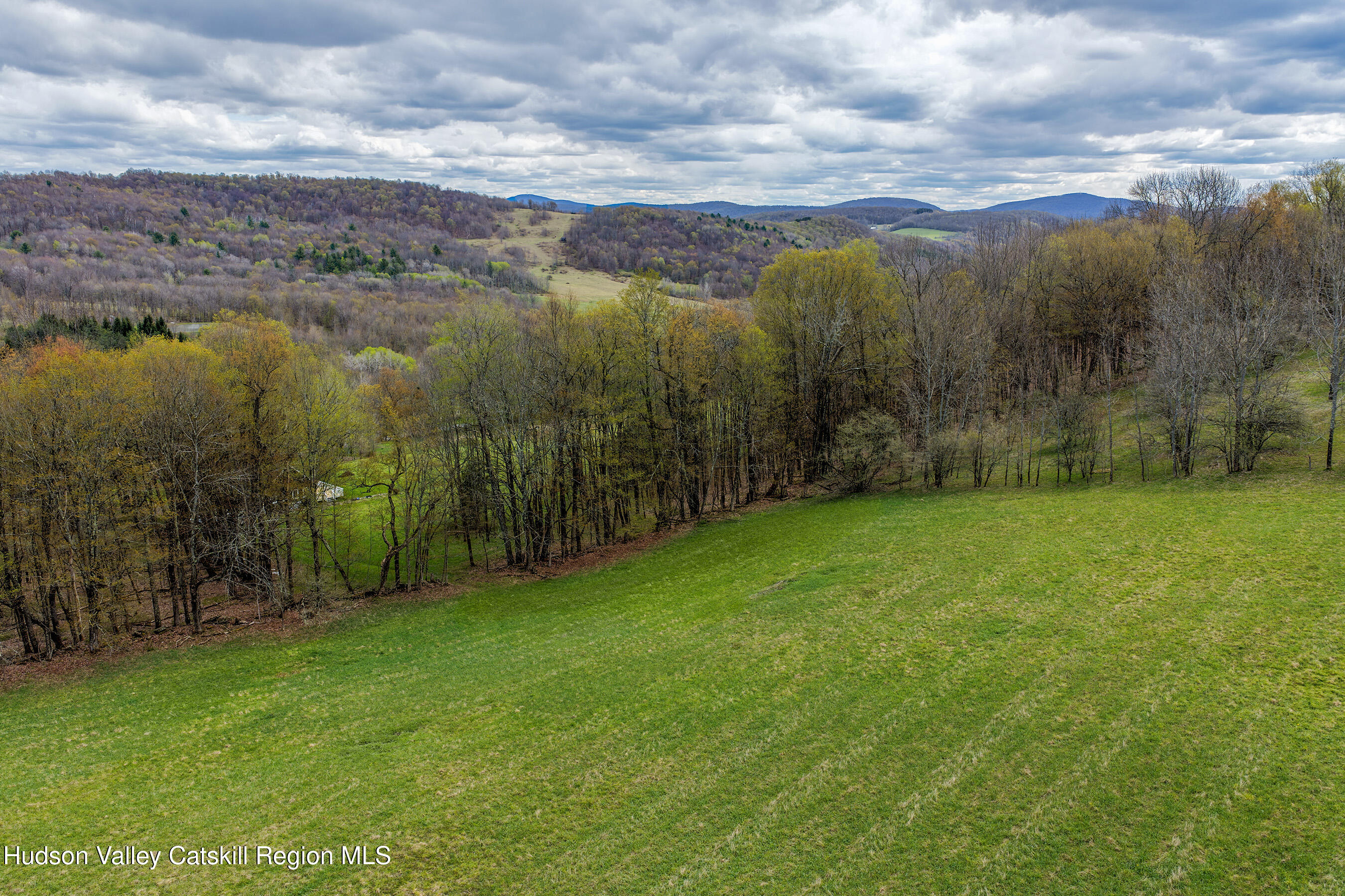 0 Brownell Road Bloomville, NY 13739 - Photo 38 of 39 23 acres Brownell Rd -- 036