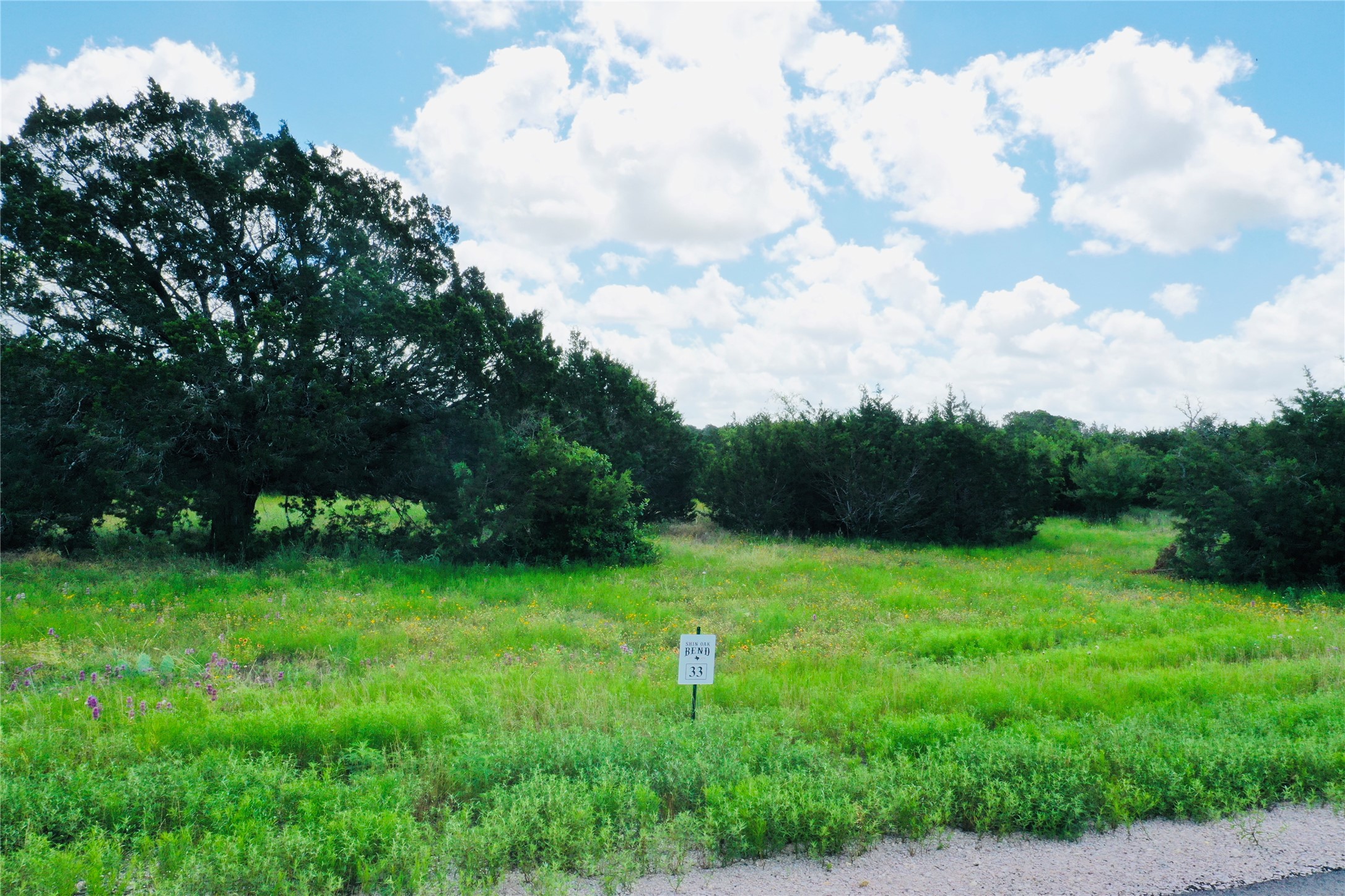 Lot 33 Riparian Elm Road Bertram, TX 78605 - Photo 1 of 1 Lot #33