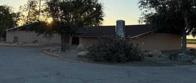 a couple of flower plants in front of door