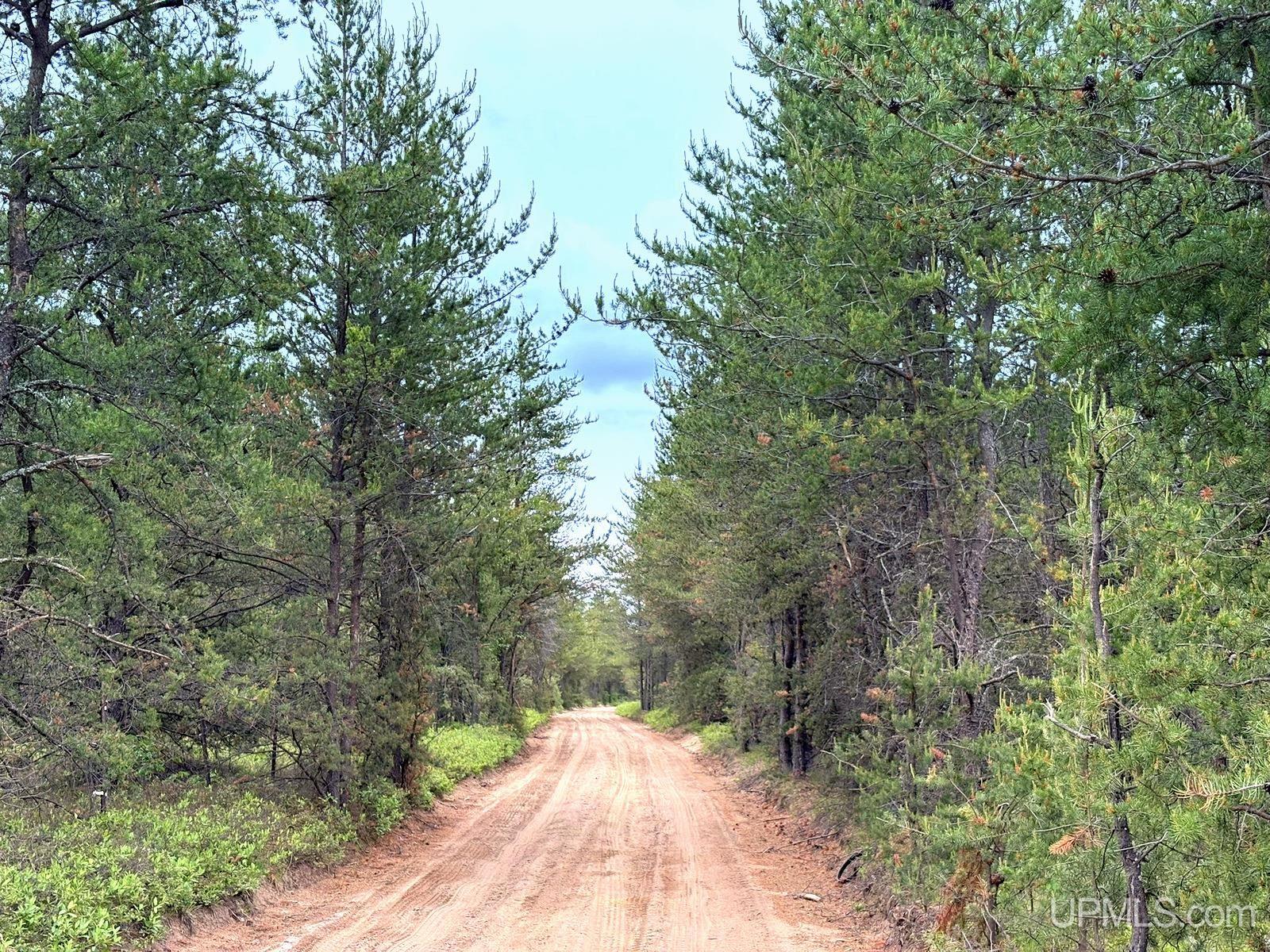 Tbd Tbd Co Road Gwinn, MI 49841 - Photo 4 of 58