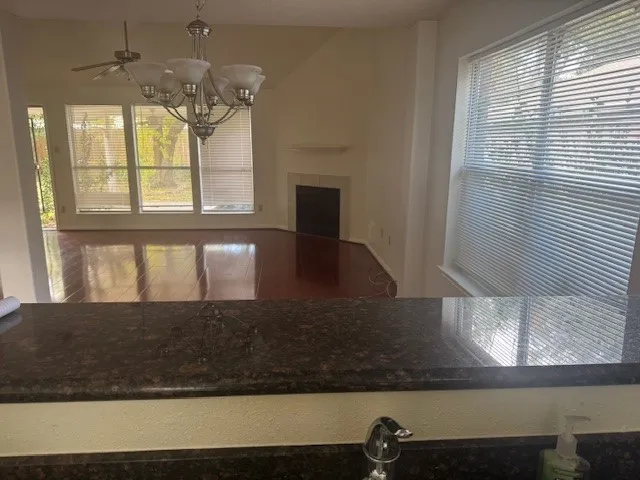 a view of a plants of a house