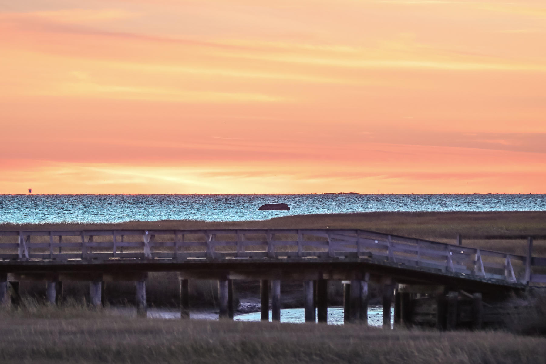 500 Lieutenant Island Road Wellfleet, MA 02667 - Photo 16 of 86 3P2A5648