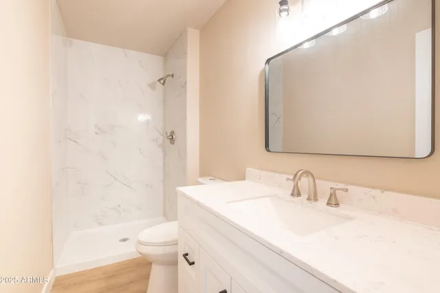 a bathroom with a sink toilet vanity and shower