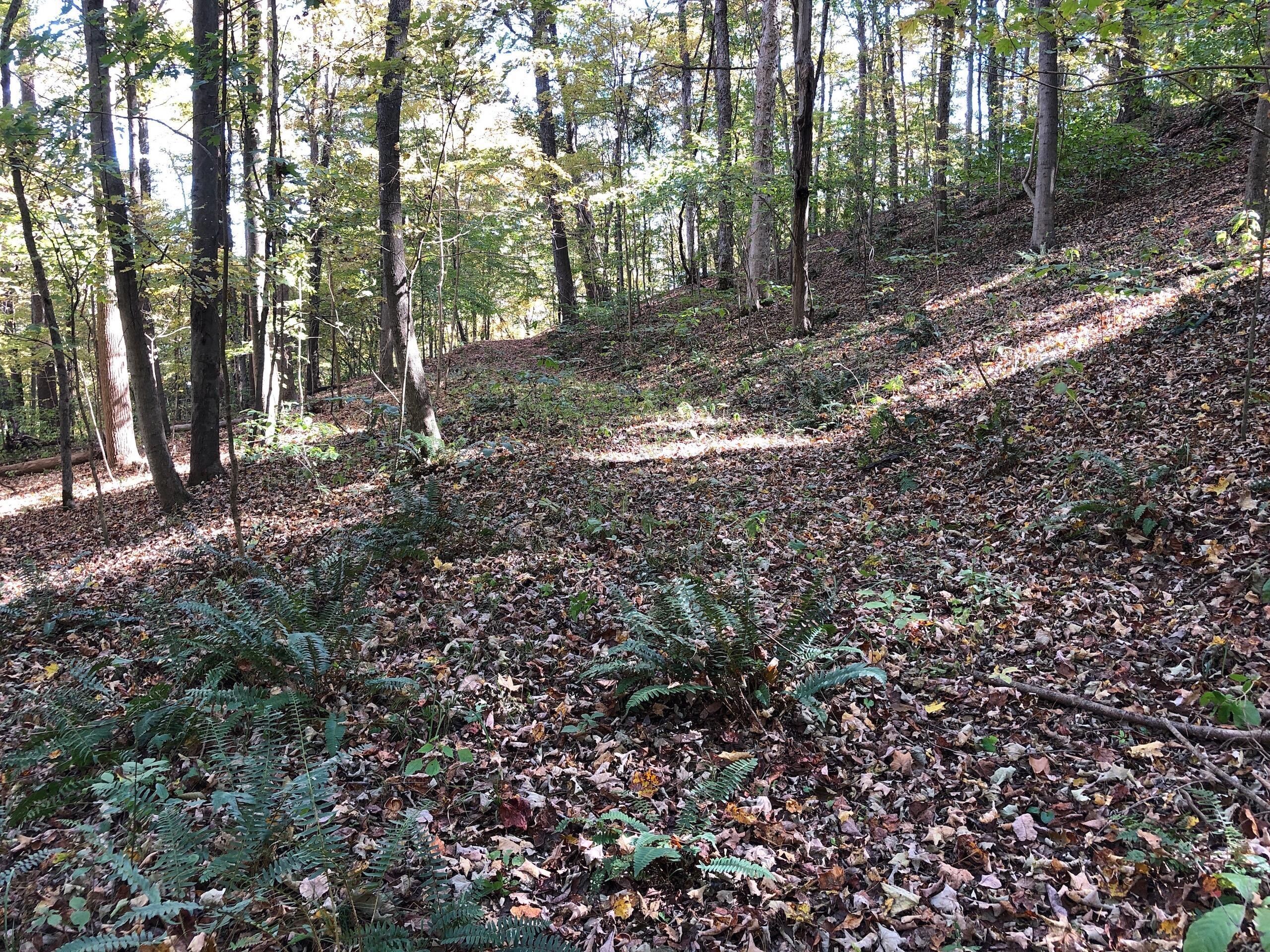 710 Apel Road Franklin Furnace, OH 45629 - Photo 6 of 16 IMG_9606