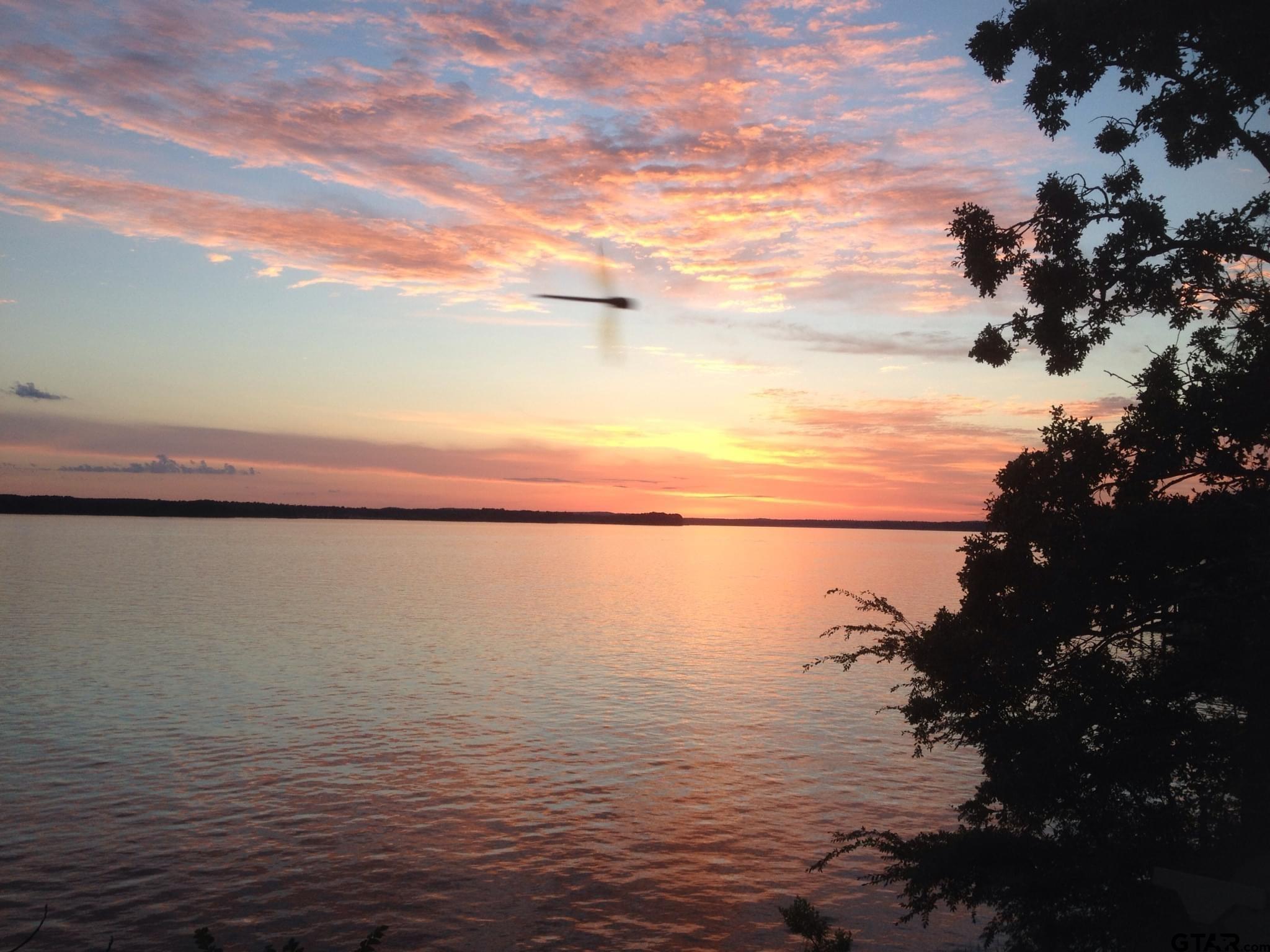 489 Martha Street Bullard, TX 75757 - Photo 1 of 44