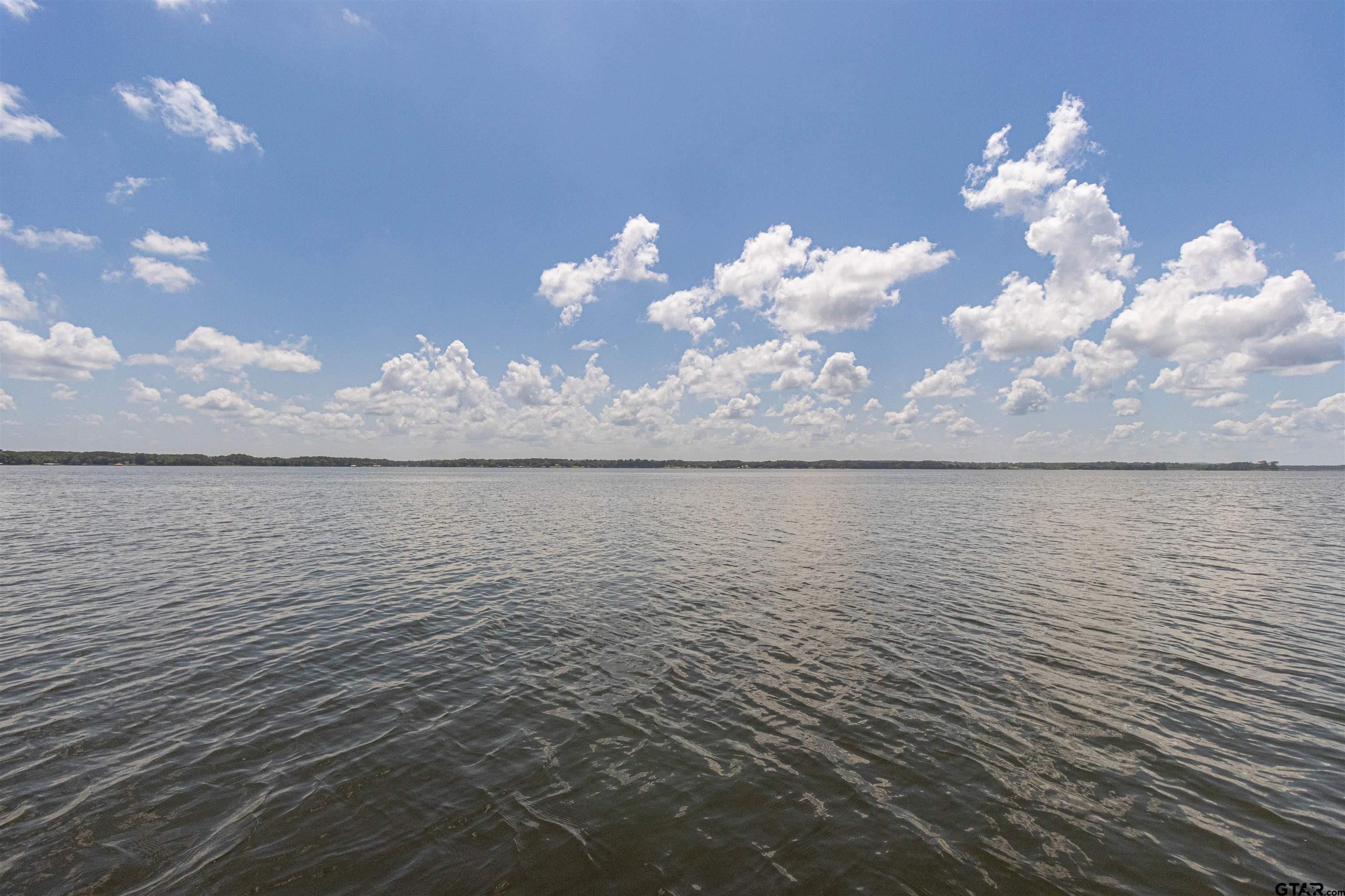 489 Martha Street Bullard, TX 75757 - Photo 14 of 44