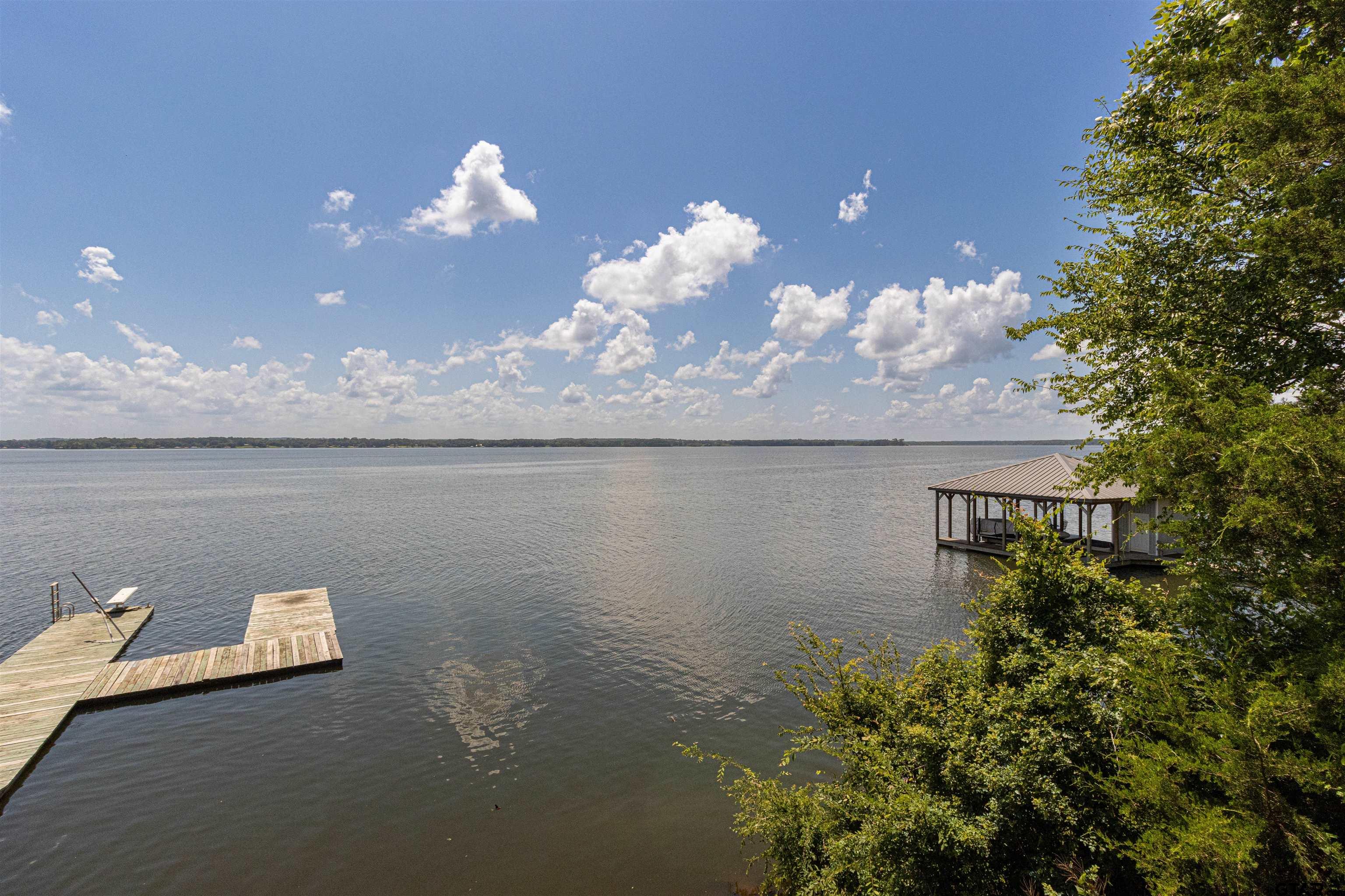 489 Martha Street Bullard, TX 75757 - Photo 16 of 44 a view of a lake in middle of the house