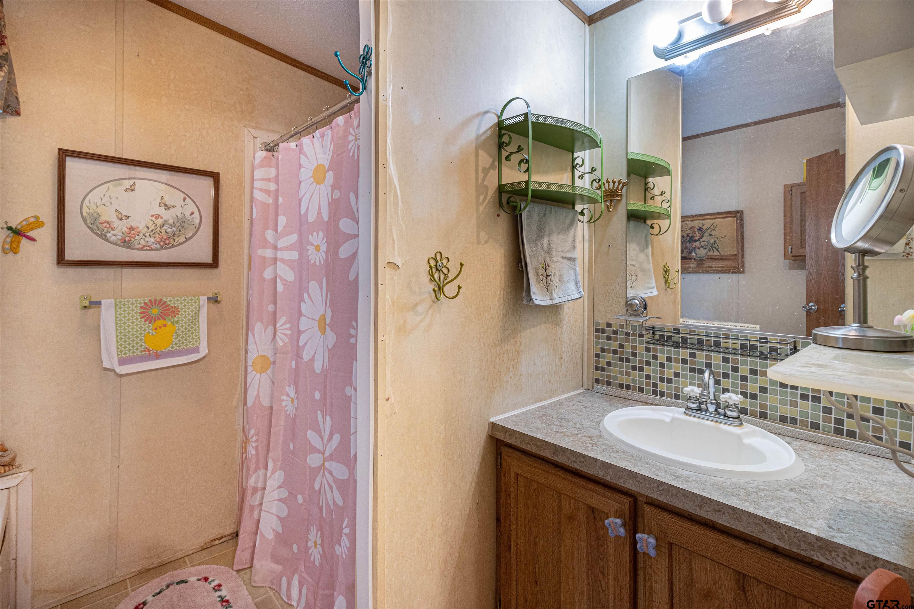 489 Martha Street Bullard, TX 75757 - Photo 30 of 44 a bathroom with a sink and a mirror