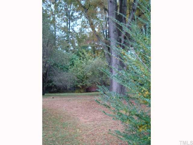 6414 King Lawrence Road Raleigh, NC 27607 - Photo 6 of 12 a view of a forest with trees in the background