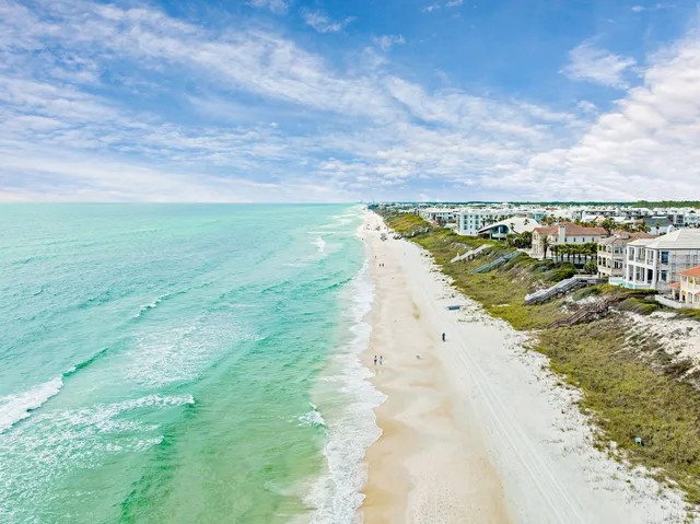 $13,995,000 | 155 Elbow Beach Rd Inlet Beach, Inlet Beach, FL 32461