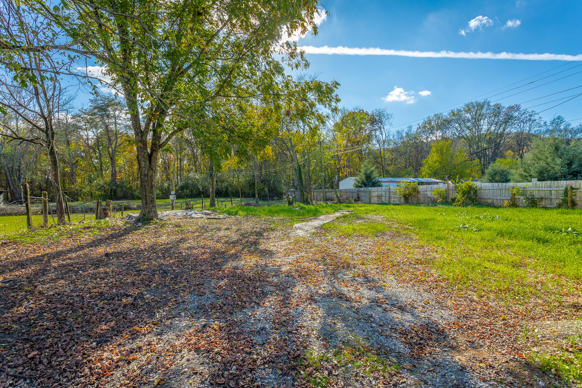 601 Long Street Dayton, TN 37321 - Photo 4 of 17 Backyard