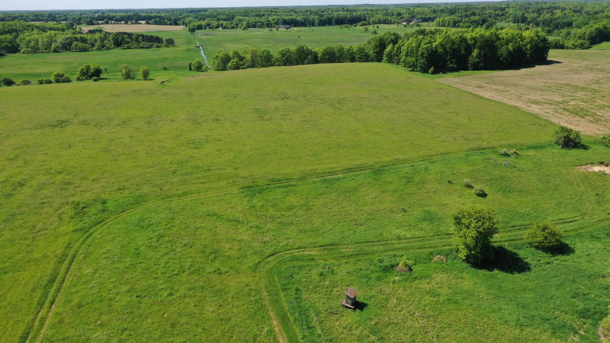 8680 Parks Road Ovid, MI 48866 - Photo 41 of 49