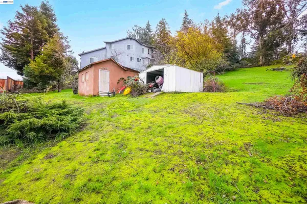 a view of a back yard of the house