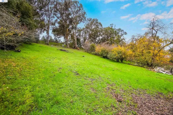 a green field with lots of trees in the background