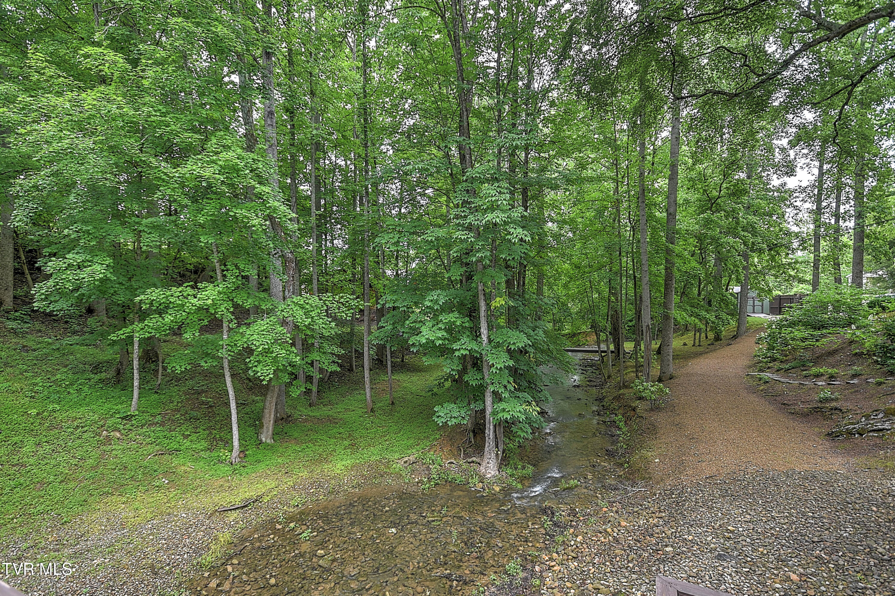 435 Whitehead Road Bluff City, TN 37618 - Photo 103 of 135 435 Whitehead AG-57