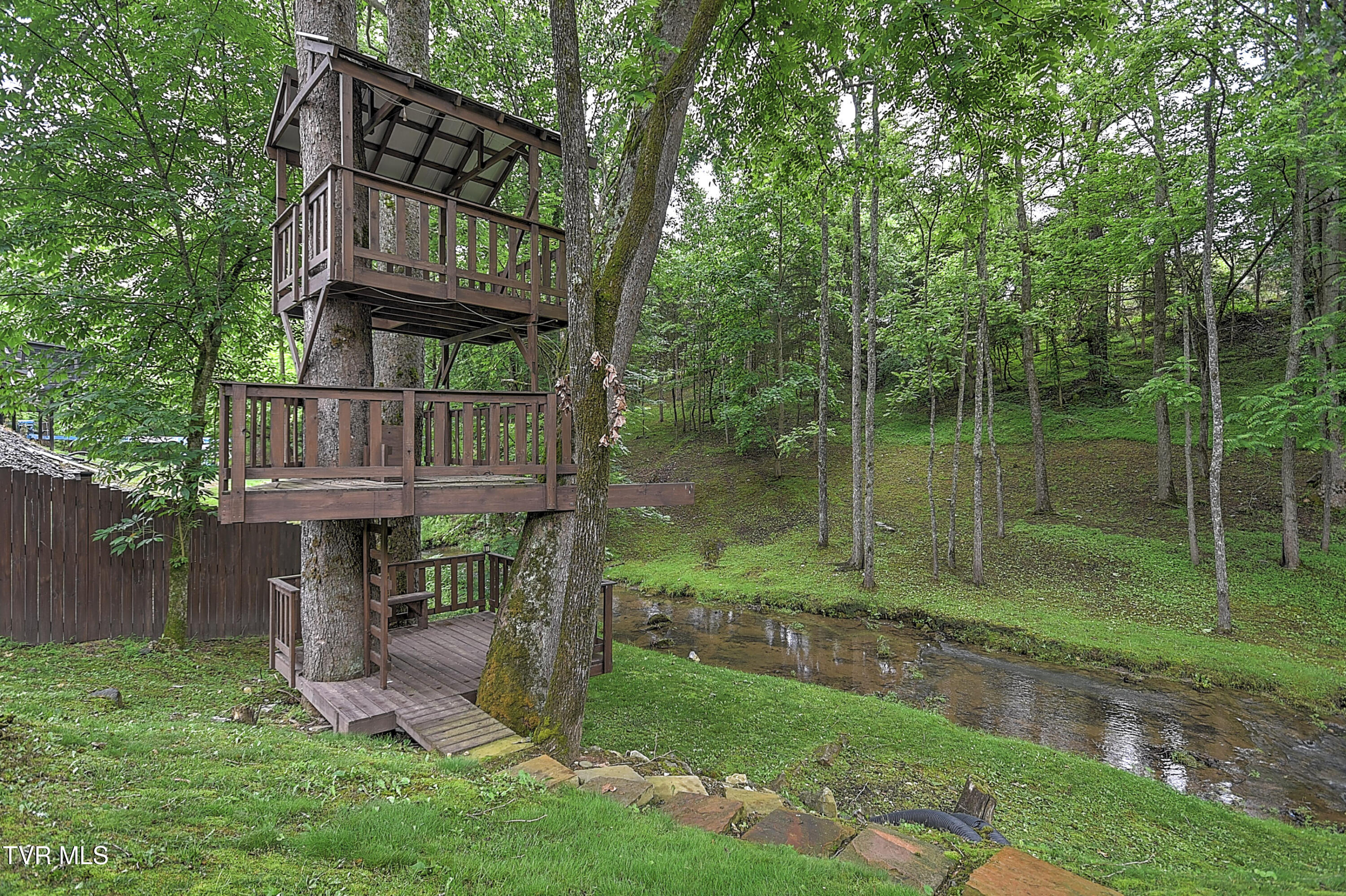 435 Whitehead Road Bluff City, TN 37618 - Photo 108 of 135 435 Whitehead AG-160