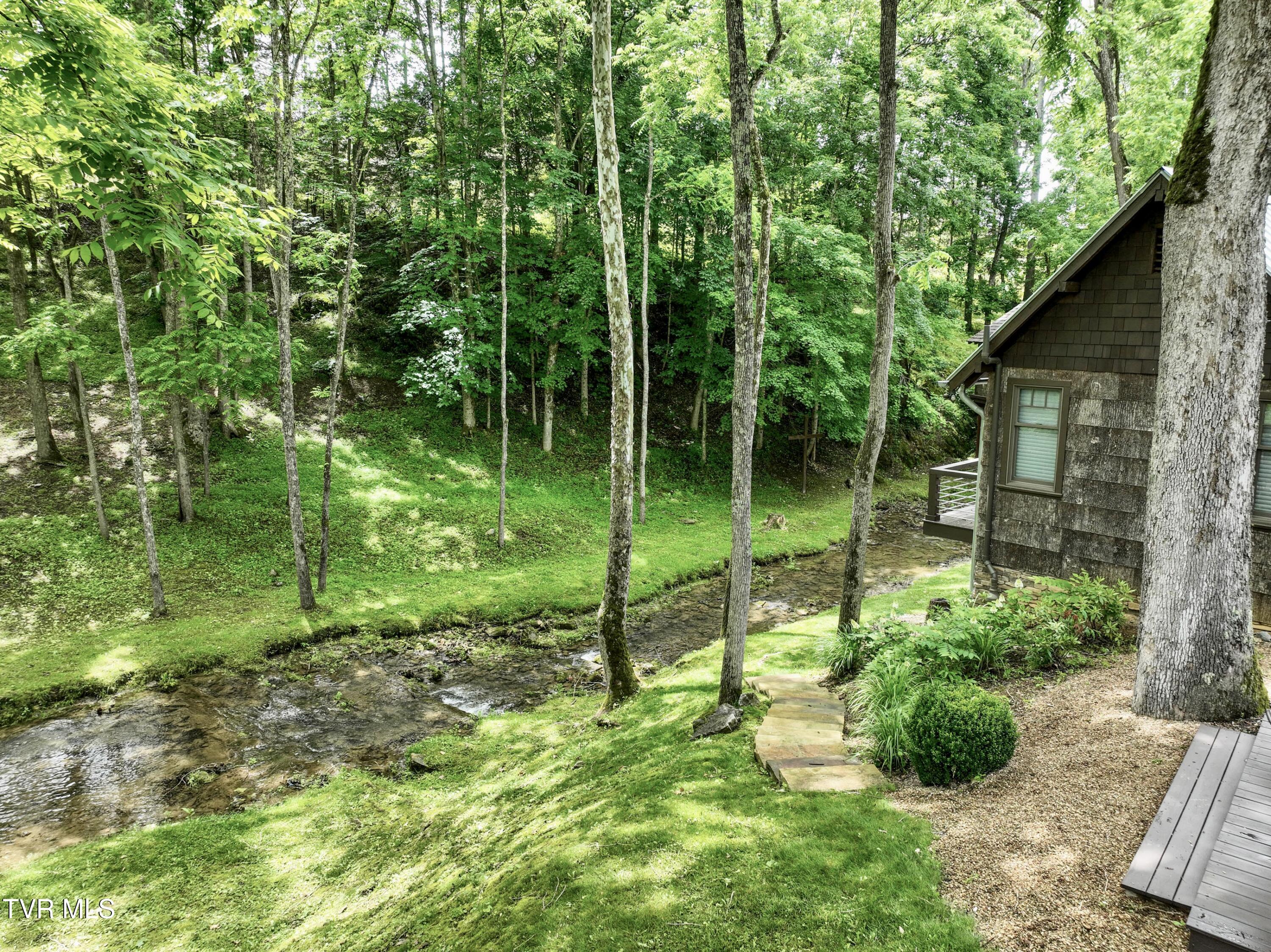 435 Whitehead Road Bluff City, TN 37618 - Photo 124 of 135 435 Whitehead Rd Drone AG-10