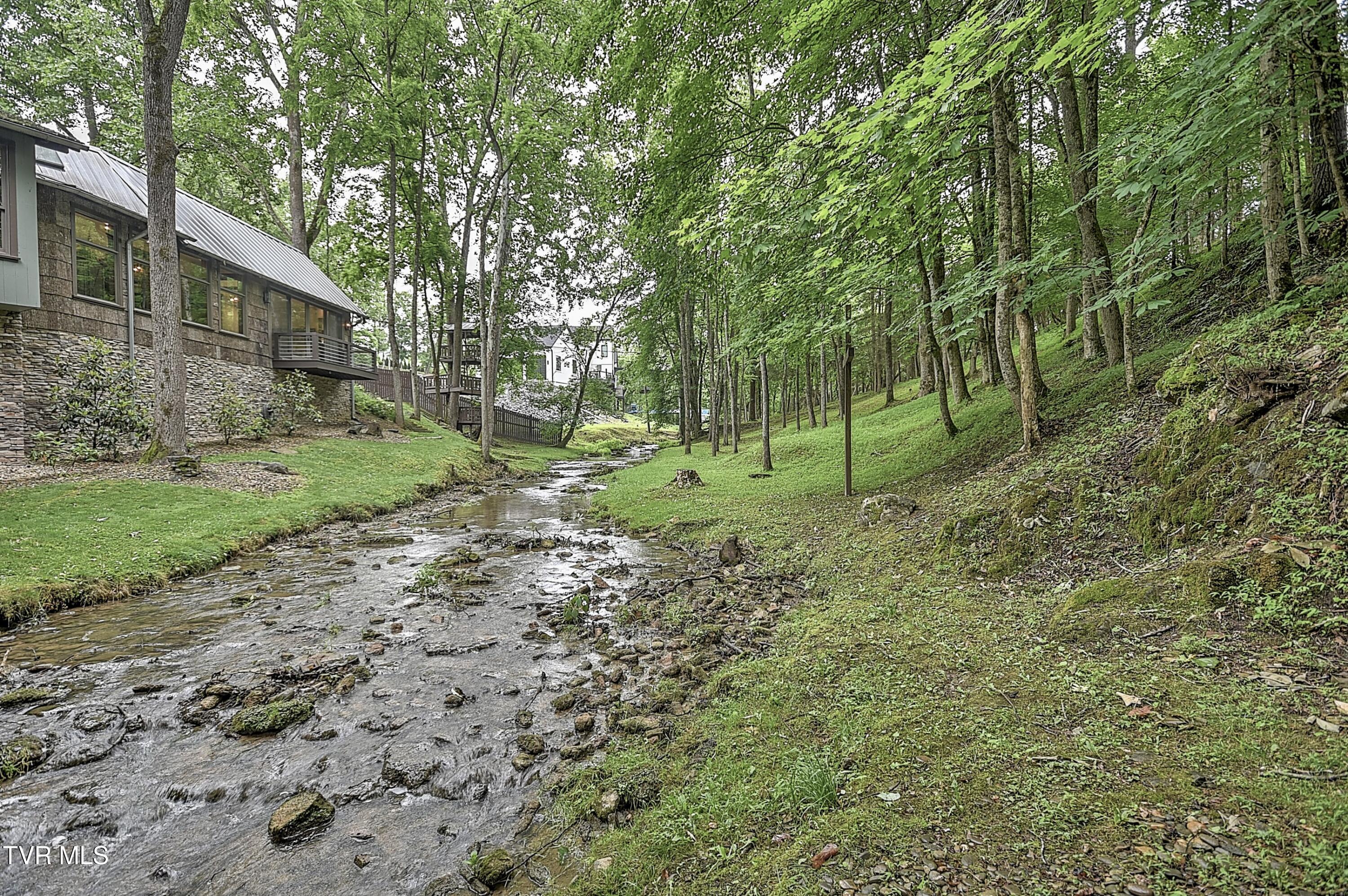 435 Whitehead Road Bluff City, TN 37618 - Photo 84 of 135 435 Whitehead AG-130