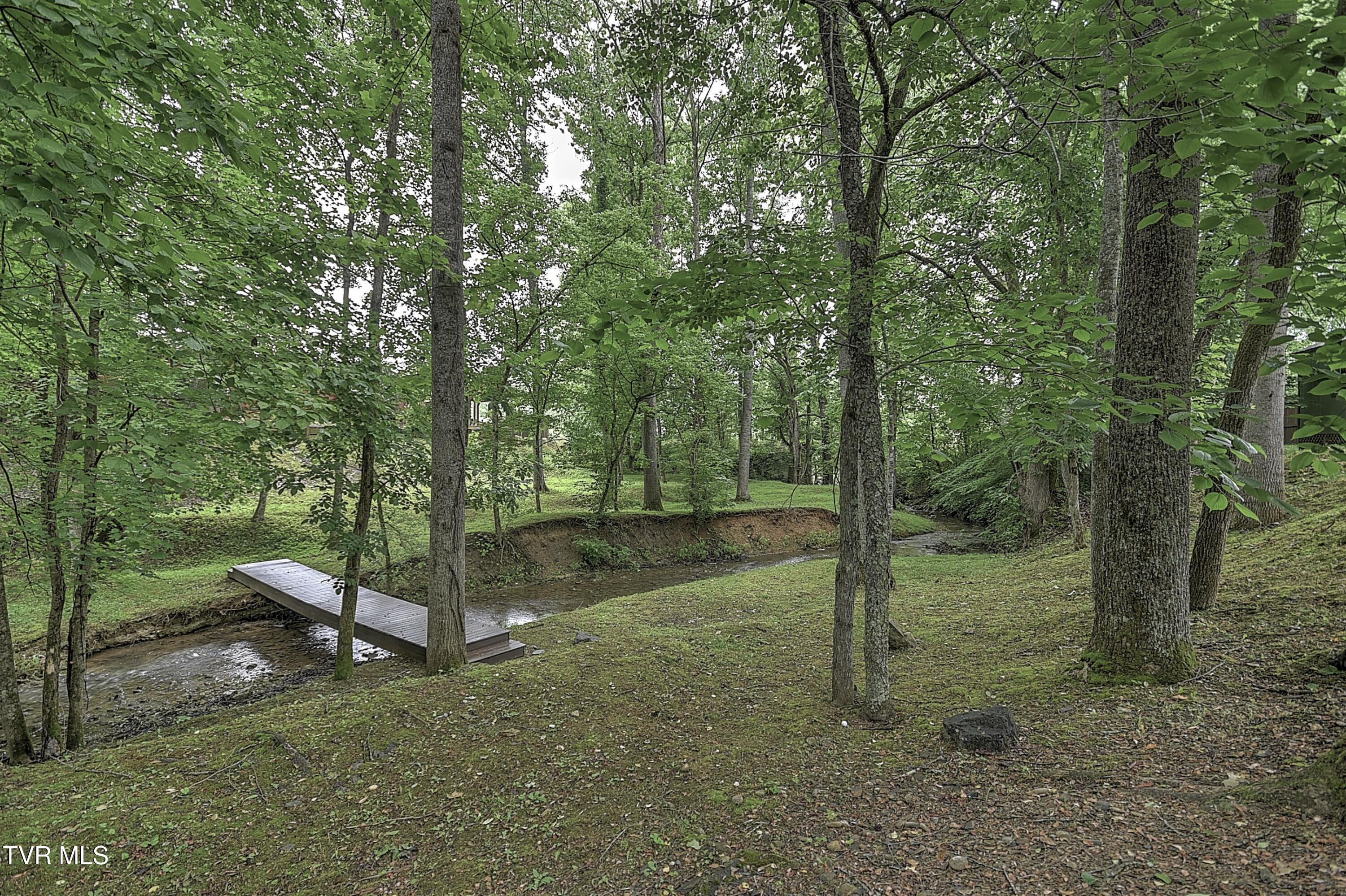 435 Whitehead Road Bluff City, TN 37618 - Photo 90 of 135 435 Whitehead AG-122