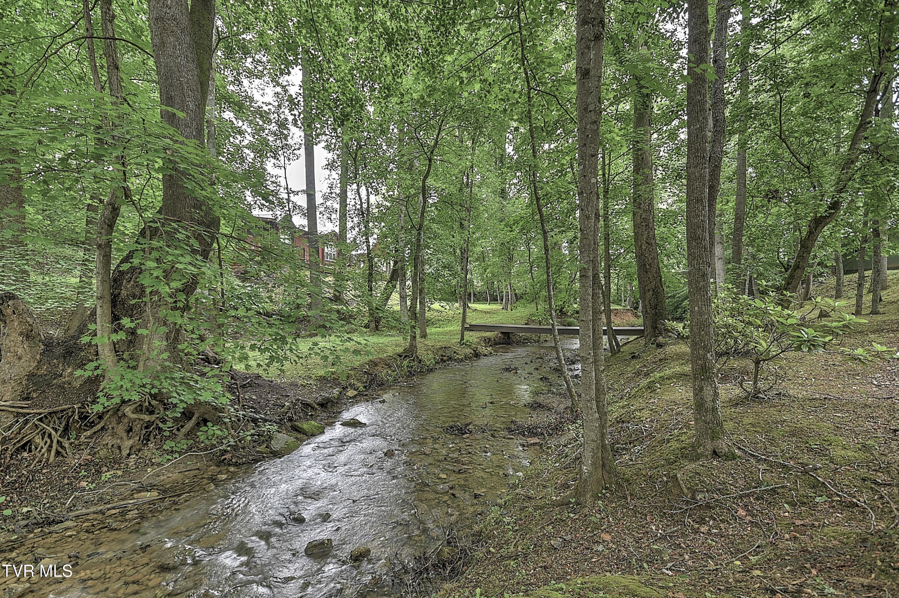 435 Whitehead Road Bluff City, TN 37618 - Photo 94 of 135 435 Whitehead AG-120