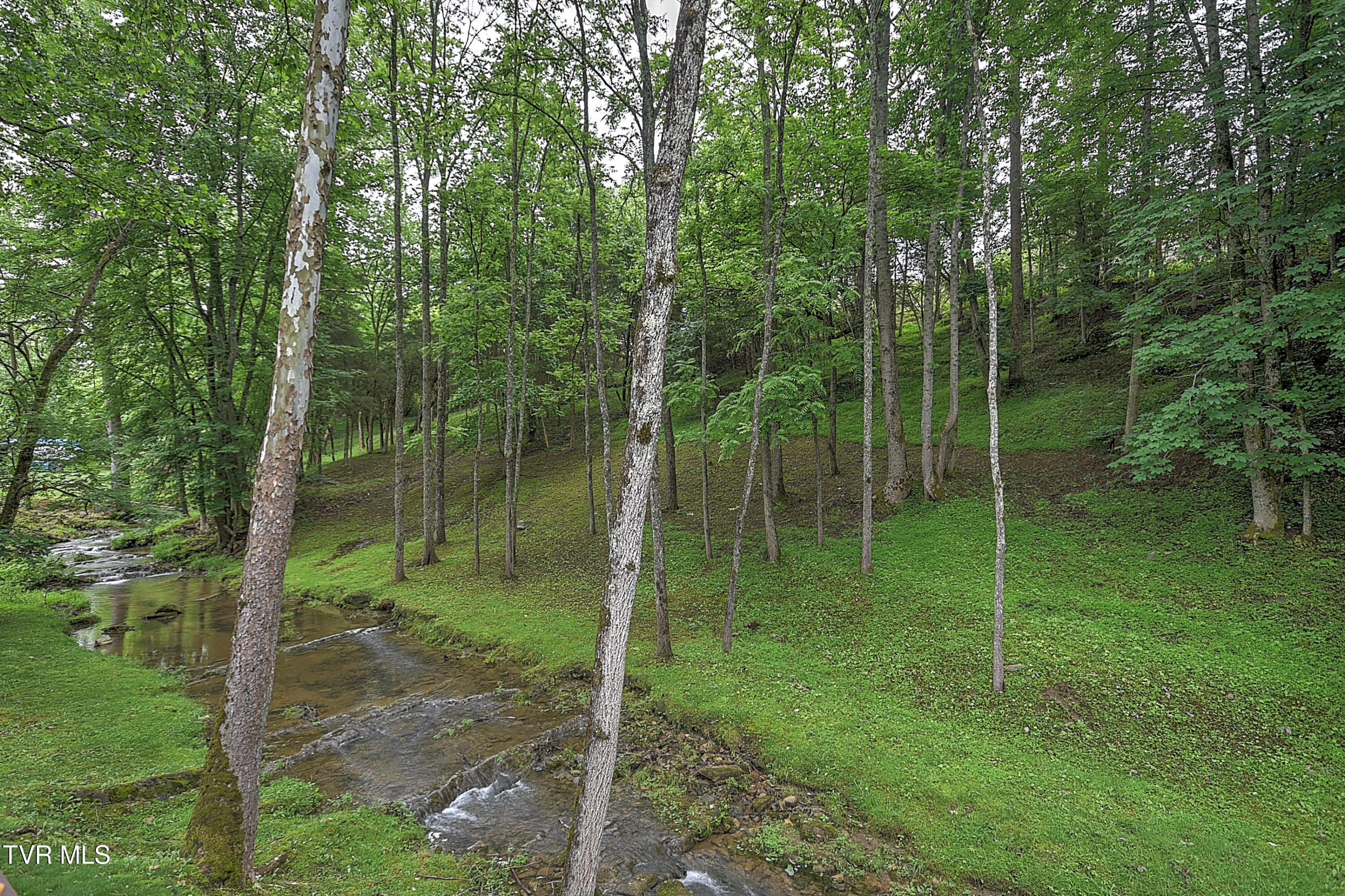 435 Whitehead Road Bluff City, TN 37618 - Photo 96 of 135 435 Whitehead AG-116