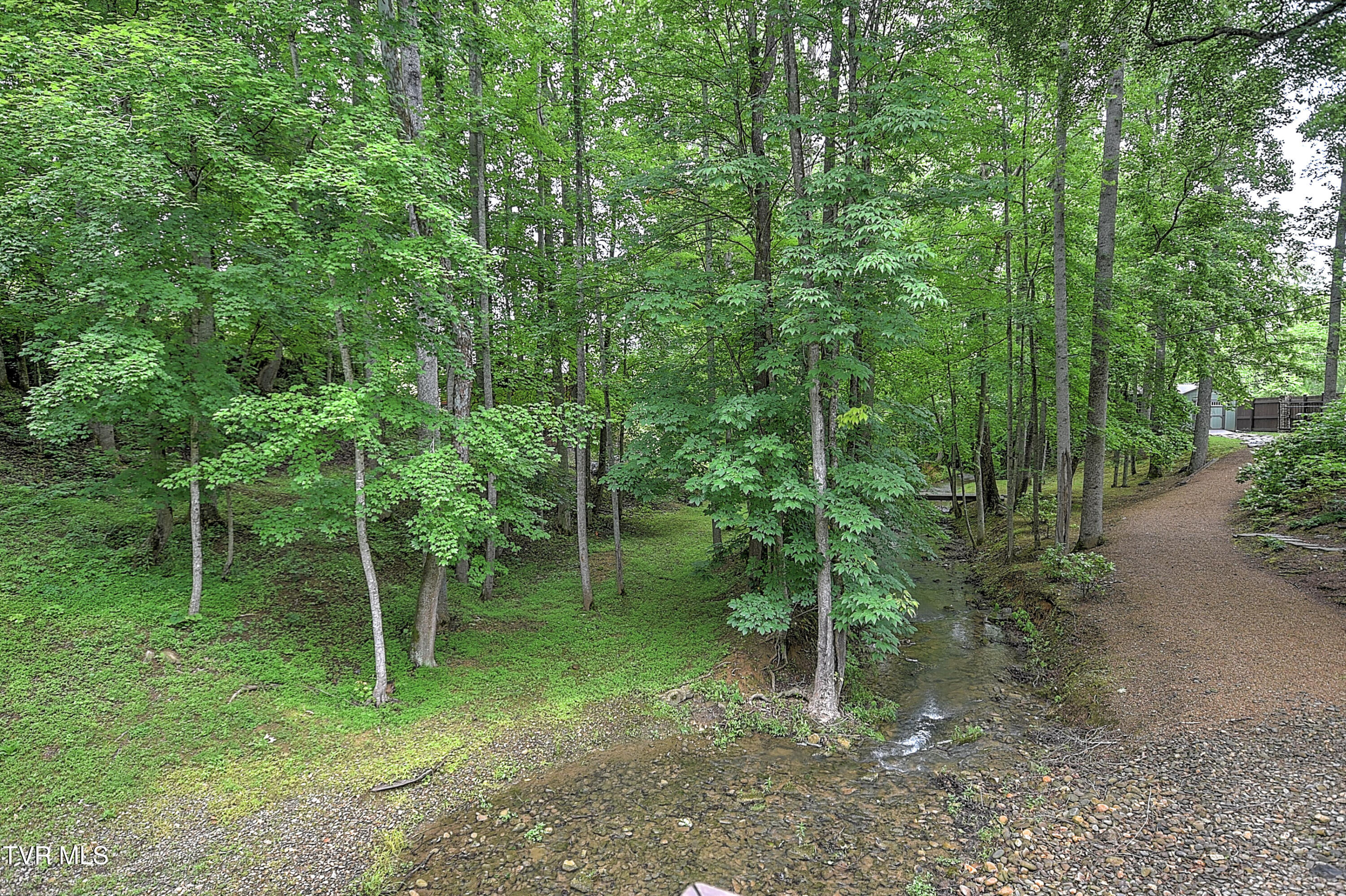 435 Whitehead Road Bluff City, TN 37618 - Photo 100 of 135 435 Whitehead AG-59