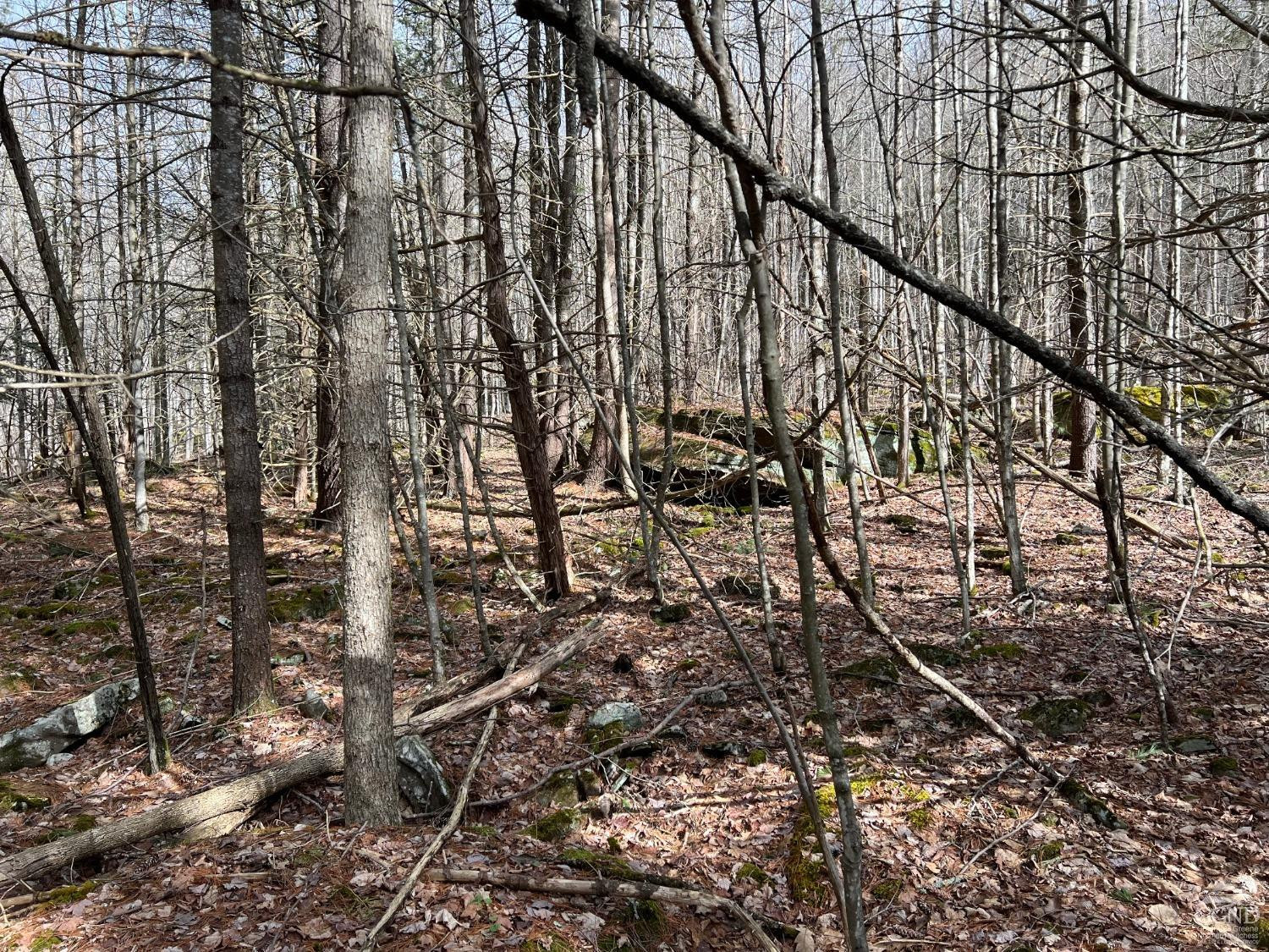 0 Route 23a Road Prattsville, NY 12468 - Photo 11 of 18 Photo 10