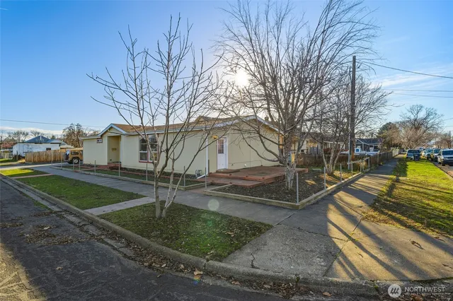 a view of yard with tree