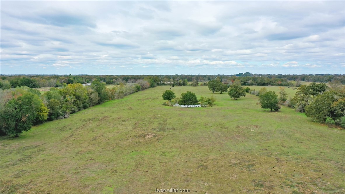 25-ac Grant Road Madisonville, TX 77864 - Photo 1 of 1 Gallery Image 1